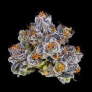 Bosky Product Highlight LA Pop Rocks × Purple Push Pop