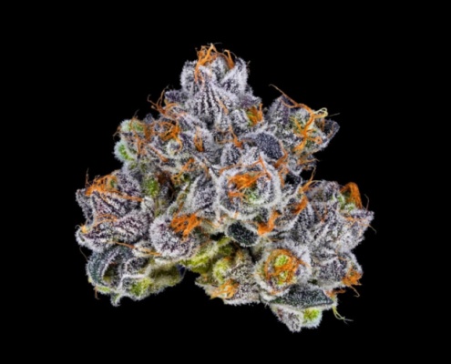 Bosky Product Highlight LA Pop Rocks × Purple Push Pop