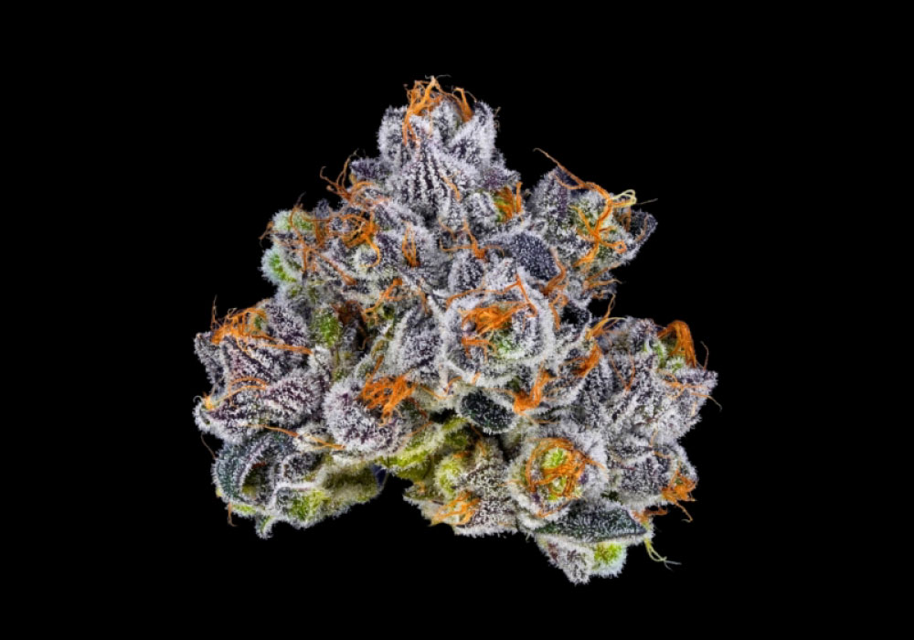 Bosky Product Highlight LA Pop Rocks × Purple Push Pop