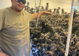 What U Smokin On 9