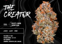 The Creator