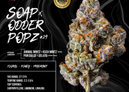 Soap Odder Popz #29