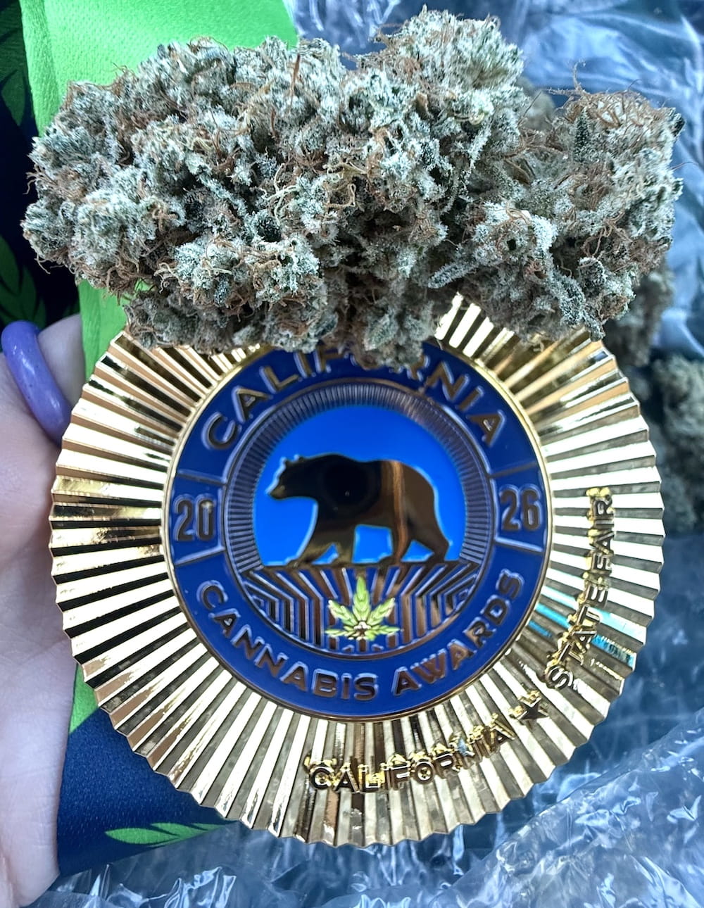 Bosky Gold Winner at the 2026 California State Fair Cannabis Awards